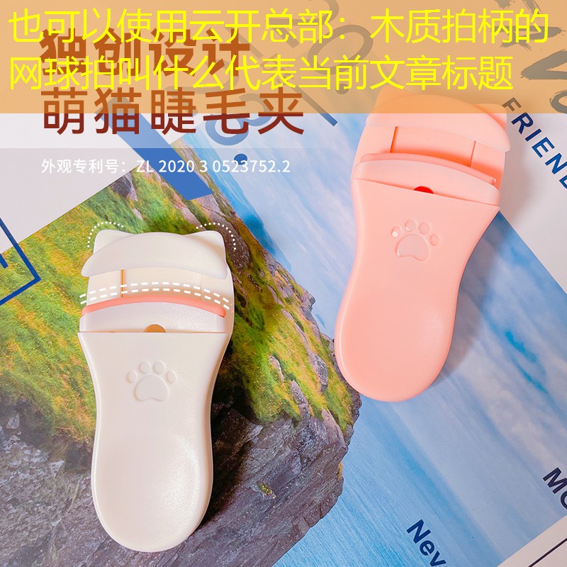 木质拍柄的网球拍叫什么